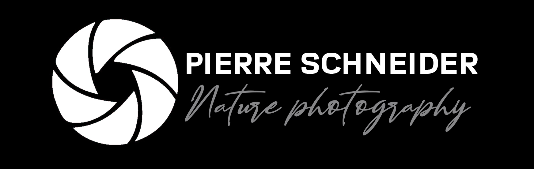 Pierre Schneider Photographies